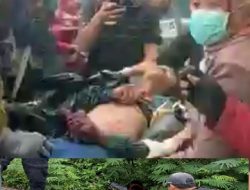KKB Tembak Beberapa Tukang Ojek Di Papua