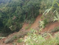 Puluhan Hektar Sawah Terancam Gagal Panen Akibat Longsor