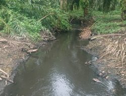 Bertahun Tahun Warga Desa Bedeng Sikuran Inuman Terdampak Limbah Pabrik, Warga : Kami Sudah Mengadu Ke Pemerintah, Air Sungai Tetap Kotor