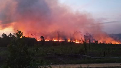 HUT Bhayangkara Ke-76 Di Sambut Kebakaran Hutan Di Kabupaten Pelalawan, Lingkar Muda Riau Meminta Kapolda Riau Untuk Tetap Fokus Mengawasi Karhutlah Di Provinsi Riau