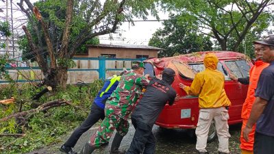 Pohon Tumbang Menimpa Mobil Angkot Di Jalan Raya Cilegon