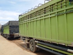 Asiong Pengusaha Bandel Yang Tidak Peduli Dengan Teguran Dishub Kuansing