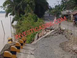 Masyarakat Desa Teluk Sungkai Minta Bupati Inhu Hentikan Operasi Mobil Batu Bara Karena Jembatan Rusak Parah