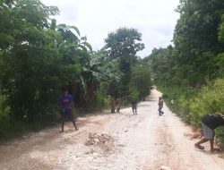 Kades Naileu TTS Bergerak Cepat: Atasi Jalan Rusak Parah Akibat Hujan Deras Semangat Gotong Royong  Membara!