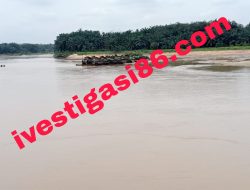 Jelas Dengan Kasat Mata Pelaku Tambang Emas Ilegal Di Aliran Sungai Inhu, Bebas Aktivitas Kebal Dari Jerat Hukum, Ada Apa Ini?