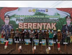 Dukung Program Ketahanan Pangan Kapolda Bengkulu Laksanakan Penanaman Jagung Serentak