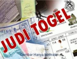 Praktek Judi Togel Ilegal Di Desa Pulau Palas Inhil Diduga Masih Beroperasi Bebas, APH Kemana Kok Diam Saja?