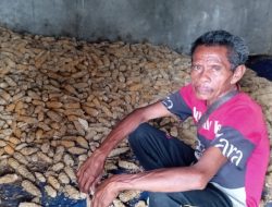 Lumbung Pangan Desa Saenam: Mimpi Sejahtera Terganjal Kurang Fasilitas