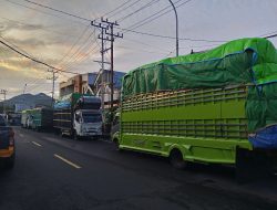 Antrian Mobil Truk Di Pelabuhan ASDP Cabang Ternate Membludak Ke Luar Hingga Menggunakan Badan Jalan 