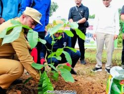 Bupati Ade Apresiasi Launching Penanaman Sejuta Pohon Matoa Kemenag Inhu