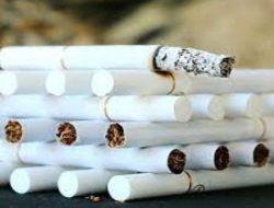 Rokok Ilegal Masih Beredar Bebas Seperti Kacang Kulit Di Kuansing, Masyarakat Minta Aparat Penegak Hukum Lumpuhkan Peredarannya Dan Tangkap Mafianya Sampai Keakar-akarnya