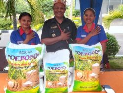 NTT Luncurkan 44 Produk Unggulan, Beras Premium Oebobo Jadi Sorotan