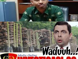 PT RAPP Diduga Langgar Aturan Hutan Sosial, Kementerian Didesak Bertindak