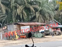 Waaww…!! Diduga Mafia BBM Ilegal BULE Dan DENA Menguras BBM Bersubsidi Dengan Bebas Dan Penegak Hukum Diduga Tak Sanggup Menangkapnya
