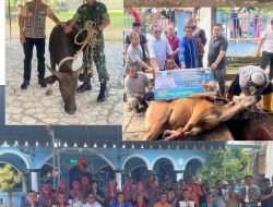 Wakil Bupati Belu Serahkan Hewan Kurban Sambut Idul Adha 1446 H