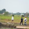 Bupati Pelalawan Tinjau Kawasan Persawahan Untuk Pengembangan Sentra Pangan Dan Wisata