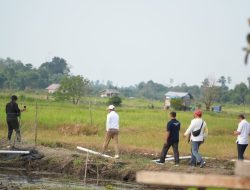 Bupati Pelalawan Tinjau Kawasan Persawahan Untuk Pengembangan Sentra Pangan Dan Wisata