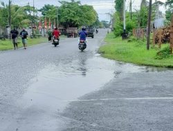 Jelang HUT Kabupaten Biak Numfor, Dinas PUPR Biak Diminta Benahi Jalan Berlubang Dan Rusak Parah