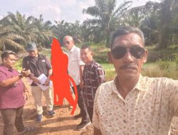 Gawat Bagi Hasil Lahan Sitaan 70% 30% Dari KSO Agrinas, Ketua Agrinas Mengatakan Saldo Nol