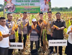 Panen Jagung Pipil Sukses, Kapolres  Polisi Hanya Pendorong, Direktur : Terimakasih Sudah Dilibatkan