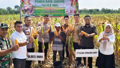 Panen Jagung Pipil Sukses, Kapolres  Polisi Hanya Pendorong, Direktur : Terimakasih Sudah Dilibatkan