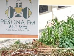Terkait Ambruknya Tower Radio Milik IAIN, Muhammad Istan ; Dana Pemeliharaan Sudah Tidak Ada Lagi Sejak Tahun 2023