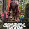 Seorang Lansia Hidup Sebatang Kara Hidup Di Rumah Yang Lapuk Rentah Roboh