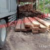 Diduga Bos Mafia Ilegal Logging Di Siak Kecil Beroperasi Terang-Terangan Dengan Bebas, Kapolres Bengkalis Diminta Tindak Tegas