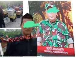 Dari Gudang Oliong Panipahan: 1.449 Ekor Belangkas Hingga Buah Mangga Impor, Diduga Seret Nama Oknum TNI Babinsa Panipahan Darat Serda Musrianto Wilayah Hukum Polsek Panipahan Polres Rohil