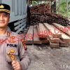 Diduga Bos Mafia Ilegal Logging Di Siak Kecil Beroperasi Terang-Terangan Dengan Bebas, Kapolres Bengkalis Diminta Tindak Tegas