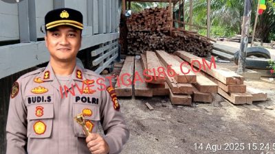 Diduga Bos Mafia Ilegal Logging Di Siak Kecil Beroperasi Terang-Terangan Dengan Bebas, Kapolres Bengkalis Diminta Tindak Tegas