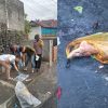 Warga Kota Ternate di Hebohkan Temuan Potongan Tubuh Manusia di Tempat Sampah, di Telusuri Ternyata Hasil Amputasi Kaki Pasien