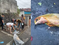 Warga Kota Ternate di Hebohkan Temuan Potongan Tubuh Manusia di Tempat Sampah, di Telusuri Ternyata Hasil Amputasi Kaki Pasien