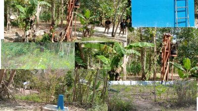 Tiga Sumur Bor, Ratusan Juta Dana Desa, Nol Manfaat: Warga Eno Nabuasa Hanya Dapat Rumput Liar