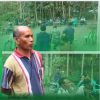 “Korban Longsor Kuatae Pulang ke Rumah Hancur, Relokasi Pemkab TTS masih gelap gulita”