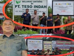 Diminta Satgas PKH Sita Aset Perkebunan Dedj Handoko Di Atas Hutan Kawasan 