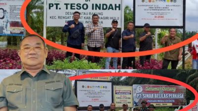 Diminta Satgas PKH Sita Aset Perkebunan Dedj Handoko Di Atas Hutan Kawasan 