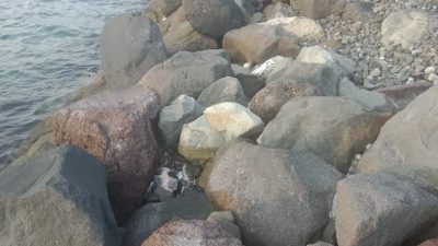 Proyek Breakwater Mareku Berantakan, Ditreskrimsus Polda Malut diminta Lidik