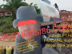 Diduga Mobil Agen BBM Industri PT Harap Panjang Ambil BBM Solar Di Gudang BBM Ilegal Milik Mafia Gondrong, Kapolres Rohil Diminta Tindak Tegas Dan Tangkap Mafianya