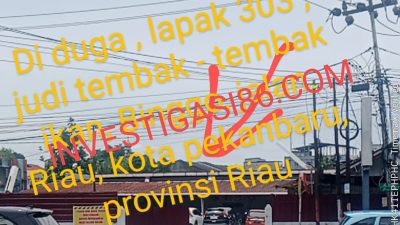 Diduga Lapak Judi Tembak Ikan BINGGO Milik Ko Aseng Bos Judi 303 Beroperasi Dengan Bebas Di Jalan Riau Pekanbaru, Kapolda Riau Dan Danrem 031 Wirabima Diminta Tindak Tegas