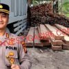 Diduga Bos Mafia Ilegal Logging Di Siak Kecil Beroperasi Terang-Terangan Dengan Bebas, Kapolres Bengkalis Diminta Tindak Tegas