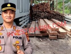 Diduga Bos Mafia Ilegal Logging Di Siak Kecil Beroperasi Terang-Terangan Dengan Bebas, Kapolres Bengkalis Diminta Tindak Tegas