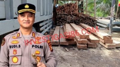 Diduga Bos Mafia Ilegal Logging Di Siak Kecil Beroperasi Terang-Terangan Dengan Bebas, Kapolres Bengkalis Diminta Tindak Tegas
