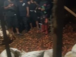 Diduga Kelompok Tani Berkah Tani Memperlihatkan Taring Dan Kekuasaannya, Pemda Inhil Di Buat Tak Berkutik