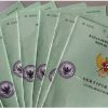 Warga Desa Tegangser Daja Kecamatan Pasean Kabupaten Pamekasan Buta Informasi Tentang Program PTSL Karena Aparat Desa Kurang Kooperatif