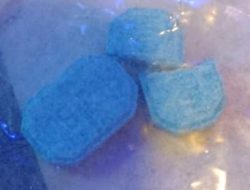 Peredaran Obat Buat Happy Redbull Dan B29 Jadi Ajang Jual Di Hotel Planet F1