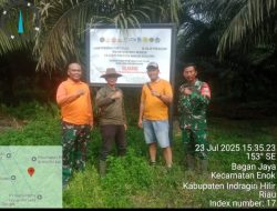 Diduga Permainan KSO, Lahan Sitaan Satgas PKH Di Inhil Kembali Dikuasai Perusahaan: Pengkhianat Kembali Korbankan Rakyat Dalam  Kemitraan Semu