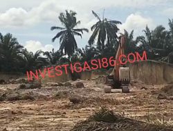 Diduga Galian C Milik PT YULI DAYUN PERKASA Tidak Kantongi Izin Alias Ilegal Beroperasi Dengan Bebas Di KM 53 Jalan Lintas Perawang Dayun Kecamatan Koto Gasib Siak, Kapolres Siak Diminta Tindak Tegas