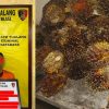 Polsek Tualang Ungkap Kasus Pencurian Sawit Di Areal PT. SIR. 2 Pelaku DPO